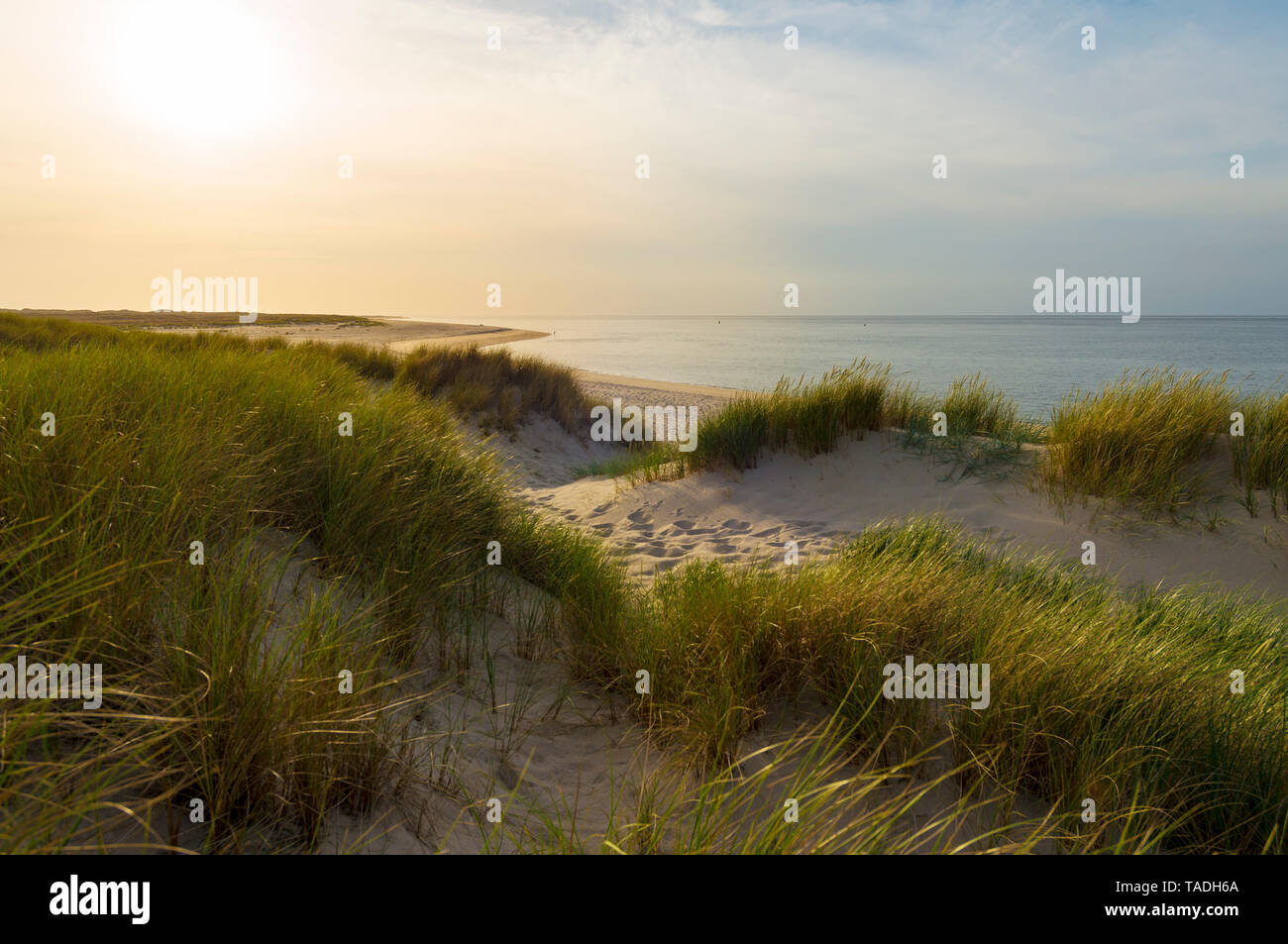 Allemagne, Sylt, Mer du Nord, coucher de soleil Banque D'Images