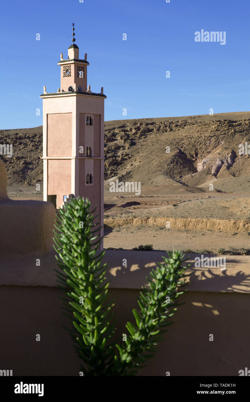 Le Maroc, la vallée de l'Ounila, plante succulente en face de terreau mur et minaret Banque D'Images