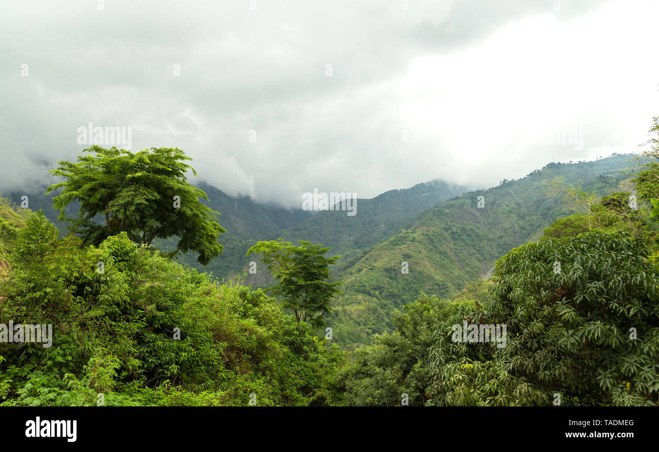 Montagnes de Baguio sur une saison des pluies, Philippines Banque D'Images