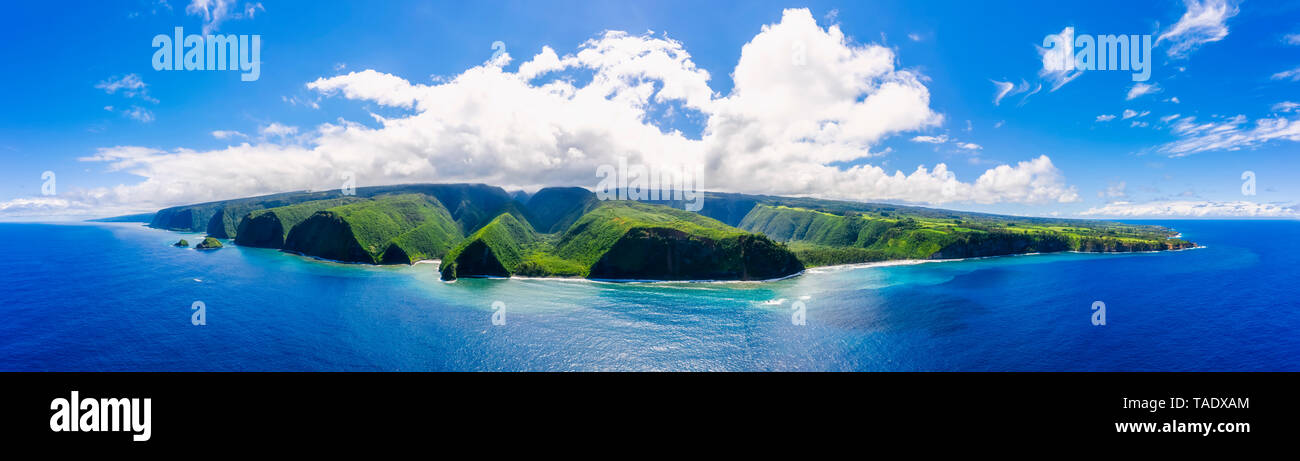 USA, Hawaii, Big Island, l'océan Pacifique, la Vallée de Pololu Lookout, réserve forestière de Kohala, Akoakoa Point, vue aérienne Banque D'Images