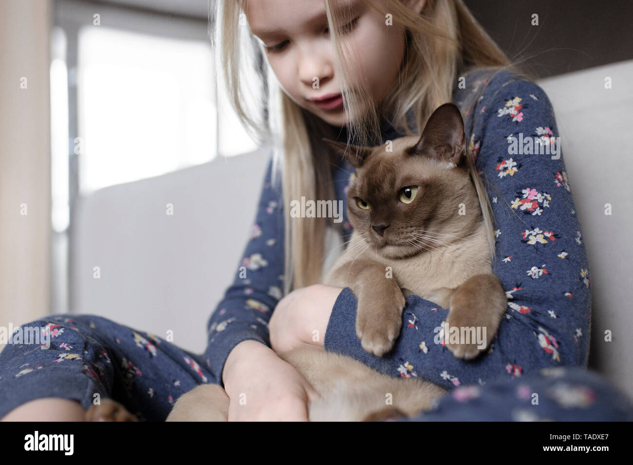 Little girl holding cat dans ses bras Banque D'Images