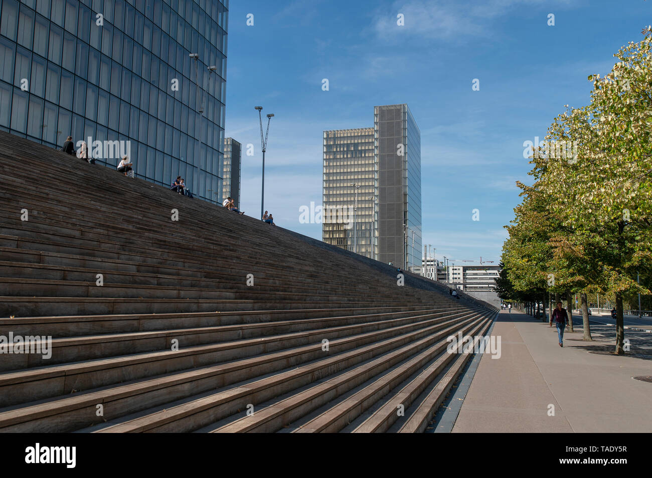 Ville de Paris : la Bibliothèque Nationale de France ("Bibliothèque nationale de France" ou BnF), dans le 6e arrondissement de Paris (quartier) "Bibliothèque Bibliotheque Banque D'Images