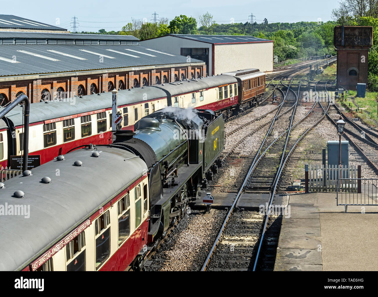 Le sud de machine à vapeur 847 arrive à la Sheffield Park à Bluebell Railway station dans East Surrey England UK avec un train d'Est Grindsted Banque D'Images