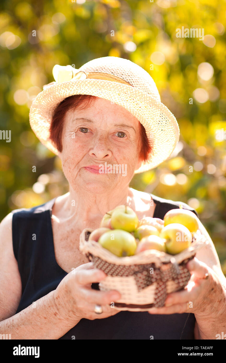 Closeup portrait of senior woman holding basket avec des pommes vertes dans le jardin. La récolte. En regardant la caméra. 80s. Portant chapeau de paille et les vêtements d'été. Banque D'Images