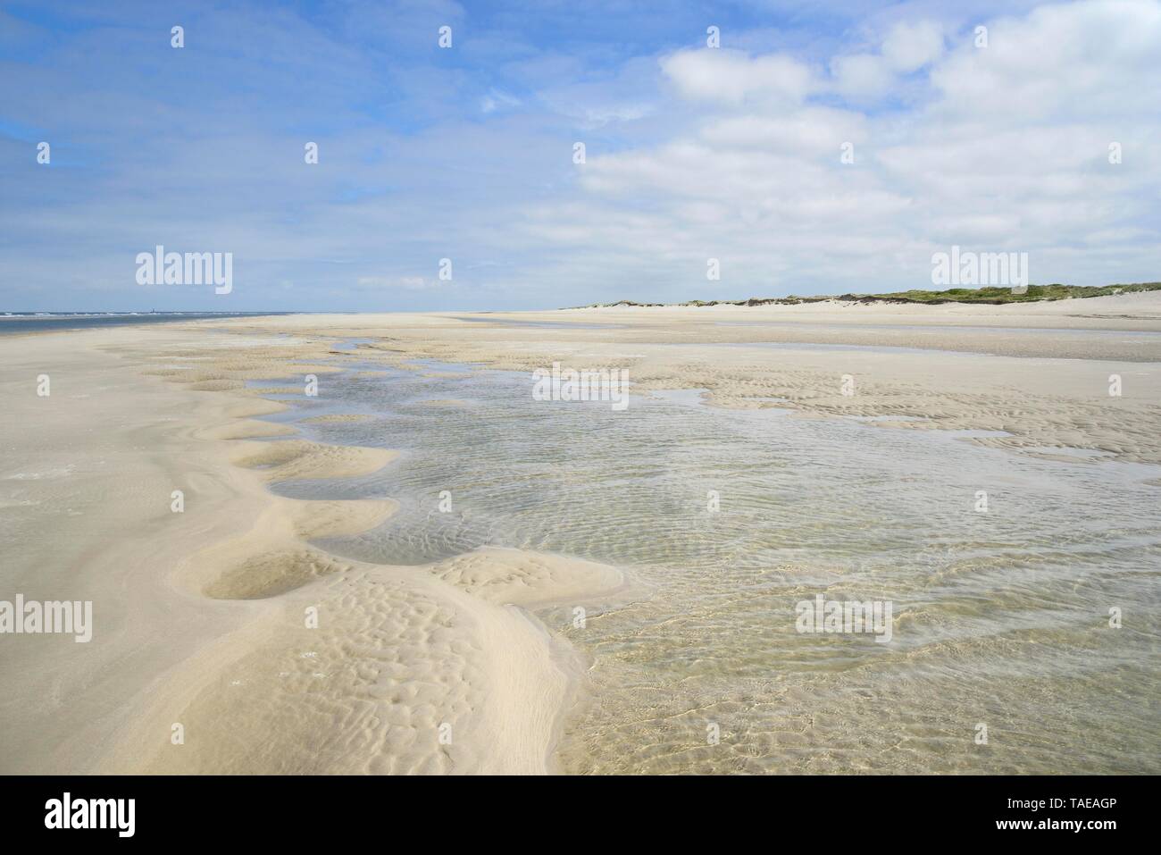 Plage à marée basse, des puits remplis d'eau, de sable, d'ondulation Wangerooge, îles de la Frise orientale, mer du Nord, Basse-Saxe, Allemagne Banque D'Images