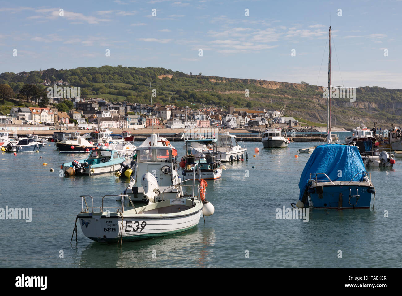 Lyme Regis, Dorset, Royaume-Uni : petits bateaux et plaisantage amarrés à la marina de Lyme Regis, une journée ensoleillée. Banque D'Images