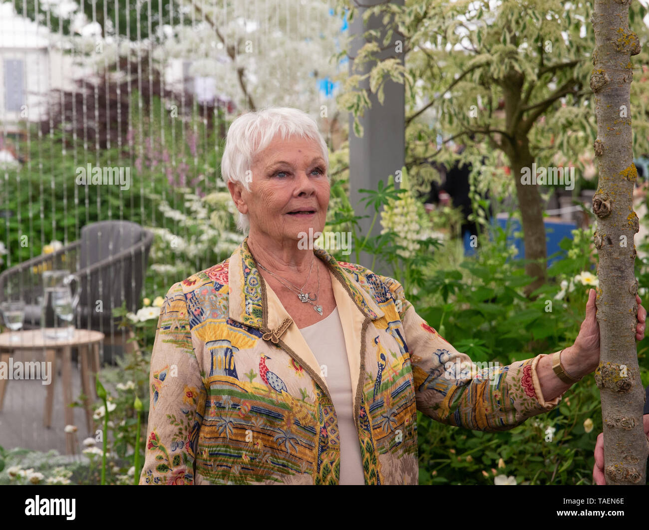 Comédienne et auteur, Dame Judith Olivia Dench, connu sous le nom de Judi Dench, à la RHS Chelsea Flower Show. Banque D'Images
