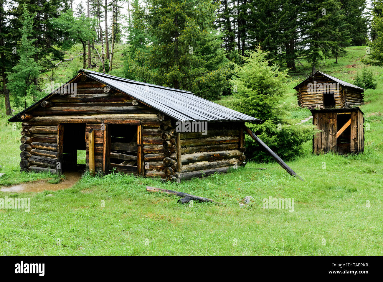 Ancien cabines en ville fantôme grenat près de Missoula, Montana, USA Banque D'Images
