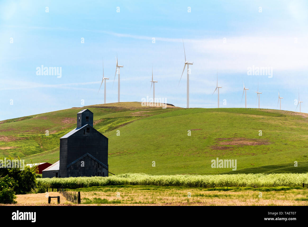 Un ancien élévateur de grain avec les éoliennes dans le fond près de Pomeroy, l'État de Washington, USA. Banque D'Images