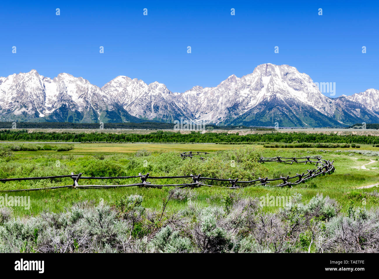 Une clôture avec le Grand Tetons en arrière-plan dans le Grand Teton National Park près de Jackson Hole, Wyoming USA. Banque D'Images