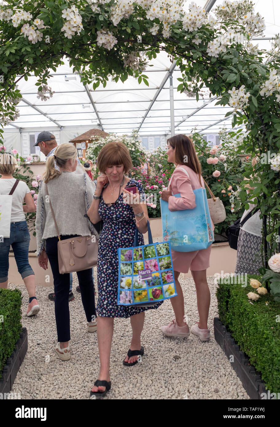 Les gens au Chelsea Flower Show de Londres 2019 Banque D'Images