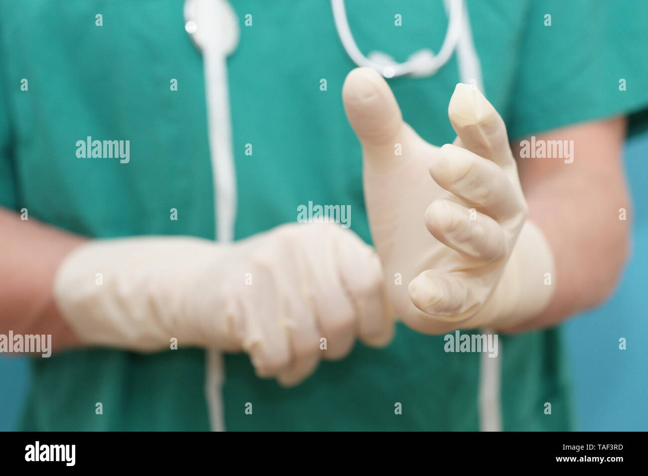 Close-up de l'homme médecin chirurgien dans scrubs vert mettre des gants chirurgicaux Banque D'Images