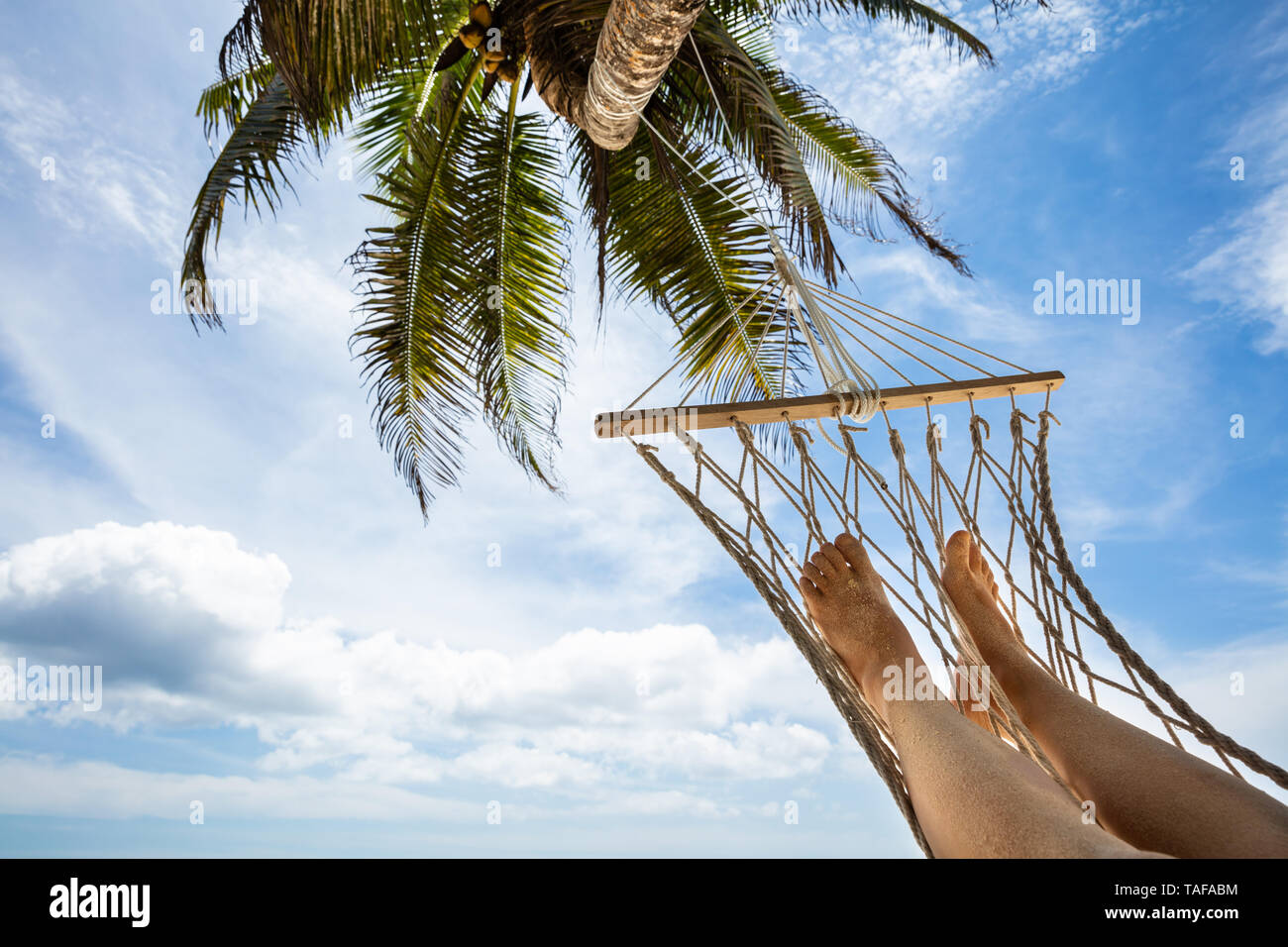 Close-up d'une personne allongée sur un hamac suspendu à Palm Tree Against  Blue Sky Photo Stock - Alamy