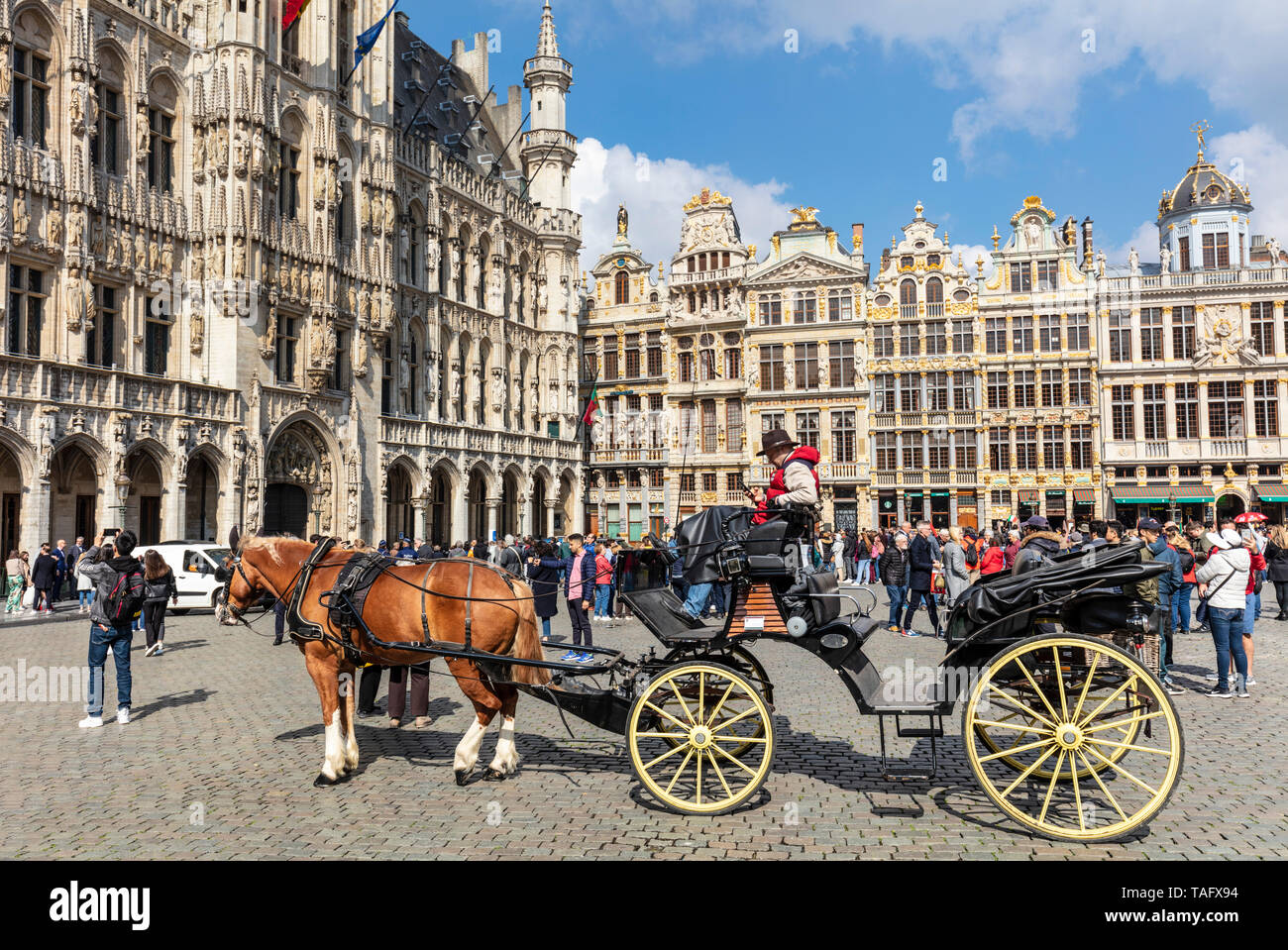 Bruxelles grand place cheval et en calèche Bruxelles grand place centre ville de Bruxelles Bruxelles belgique eu Europe Banque D'Images