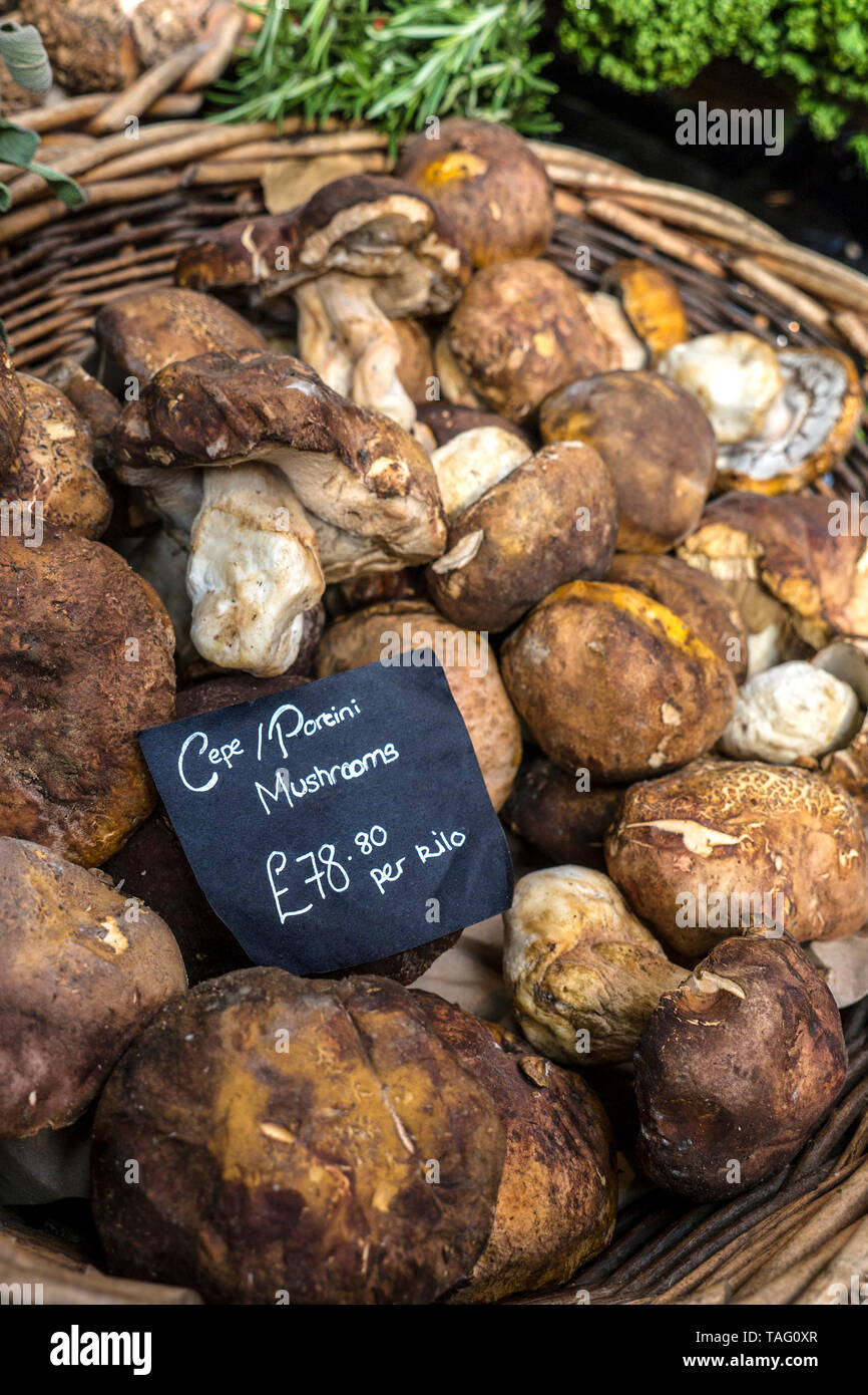 Bolets/Cèpes champignons biologiques frais sur l'affichage intérieur dans le panier rustique au prix de £ 78.80 pr kilo à haute qualité de spécialités fines à Borough Market Southwark London UK Banque D'Images