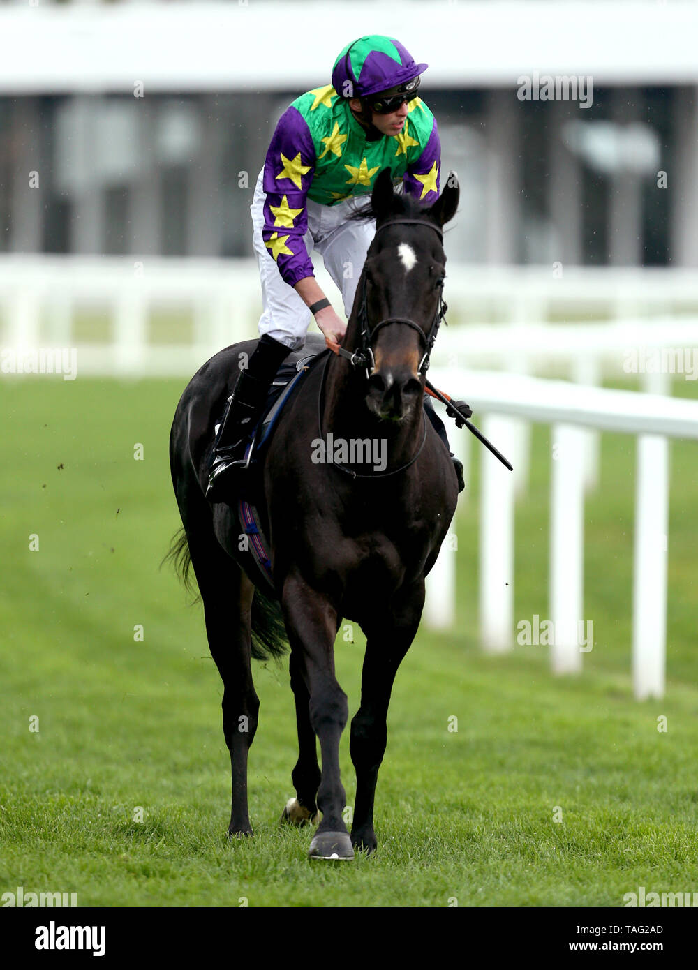 Burford Brown monté par jockey James Doyle après avoir remporté la course Handicap Ascot prend en charge des organismes de bienfaisance au cours de la journée d'essais à Ascot Racecourse Banque D'Images