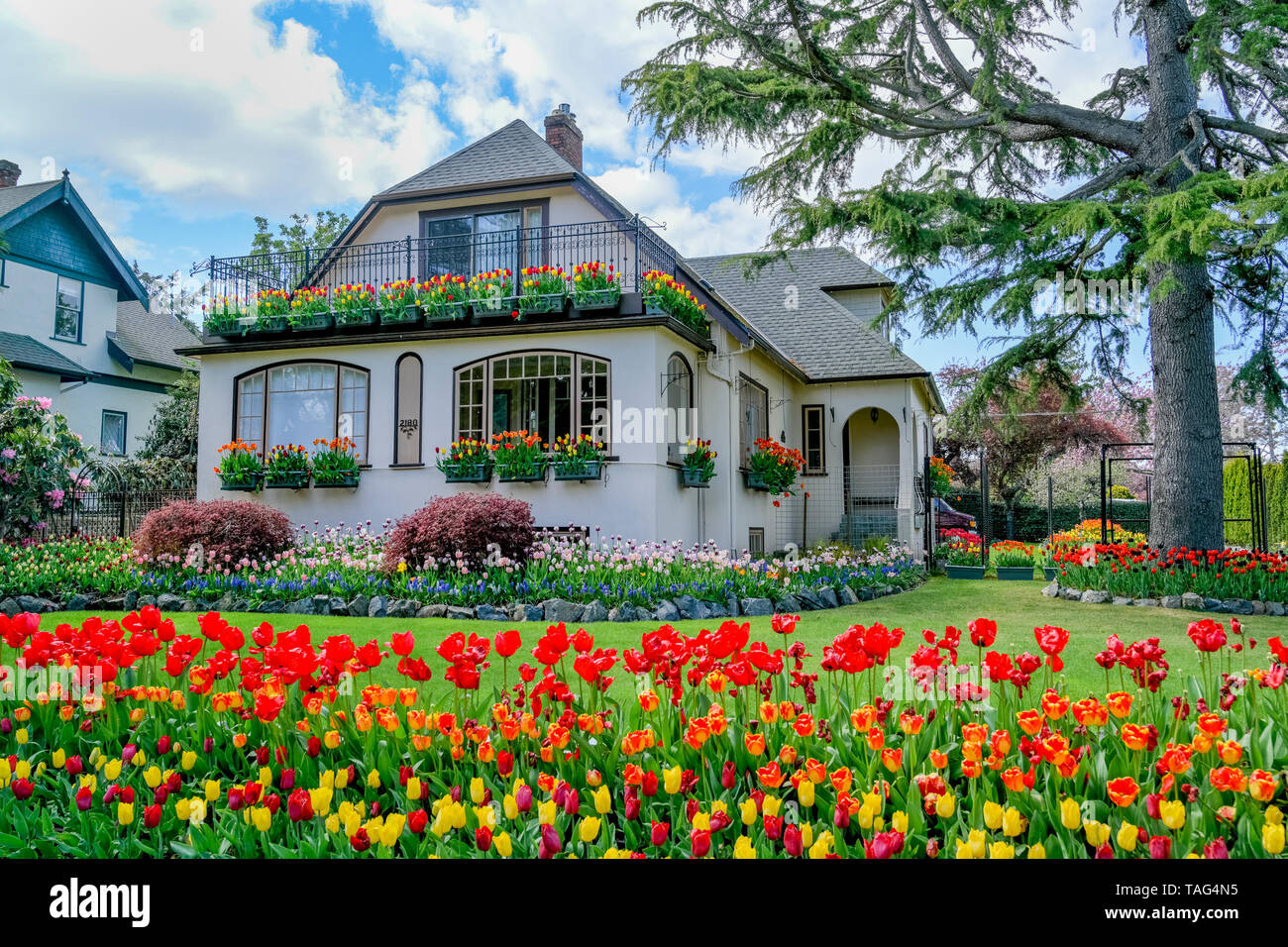 Le Tulip House, Oak Bay, British Columbia, Canada Banque D'Images