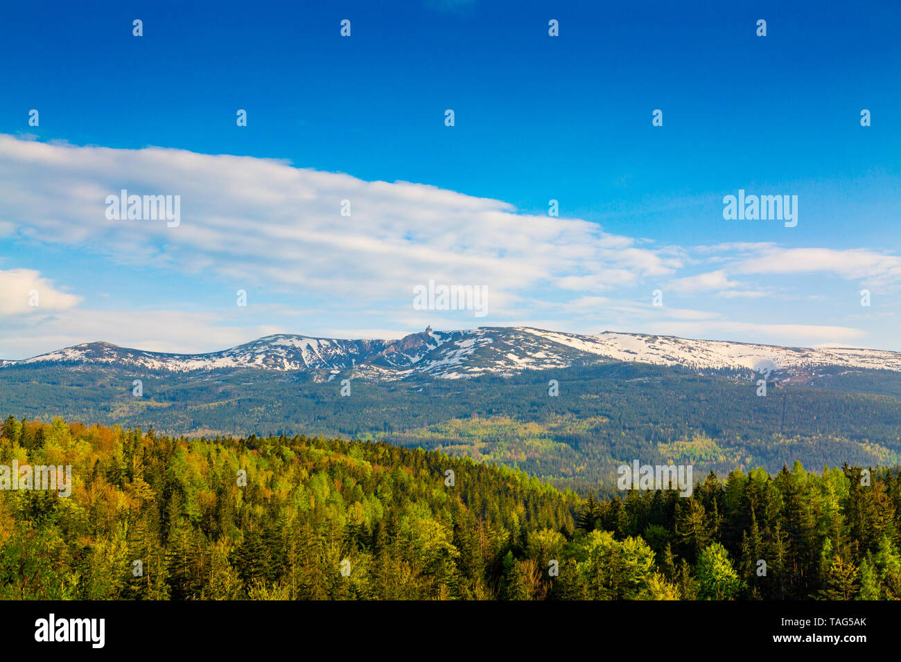 Scenic printemps paysage des monts des Géants - Mounatains Karkonosze, Pologne Banque D'Images