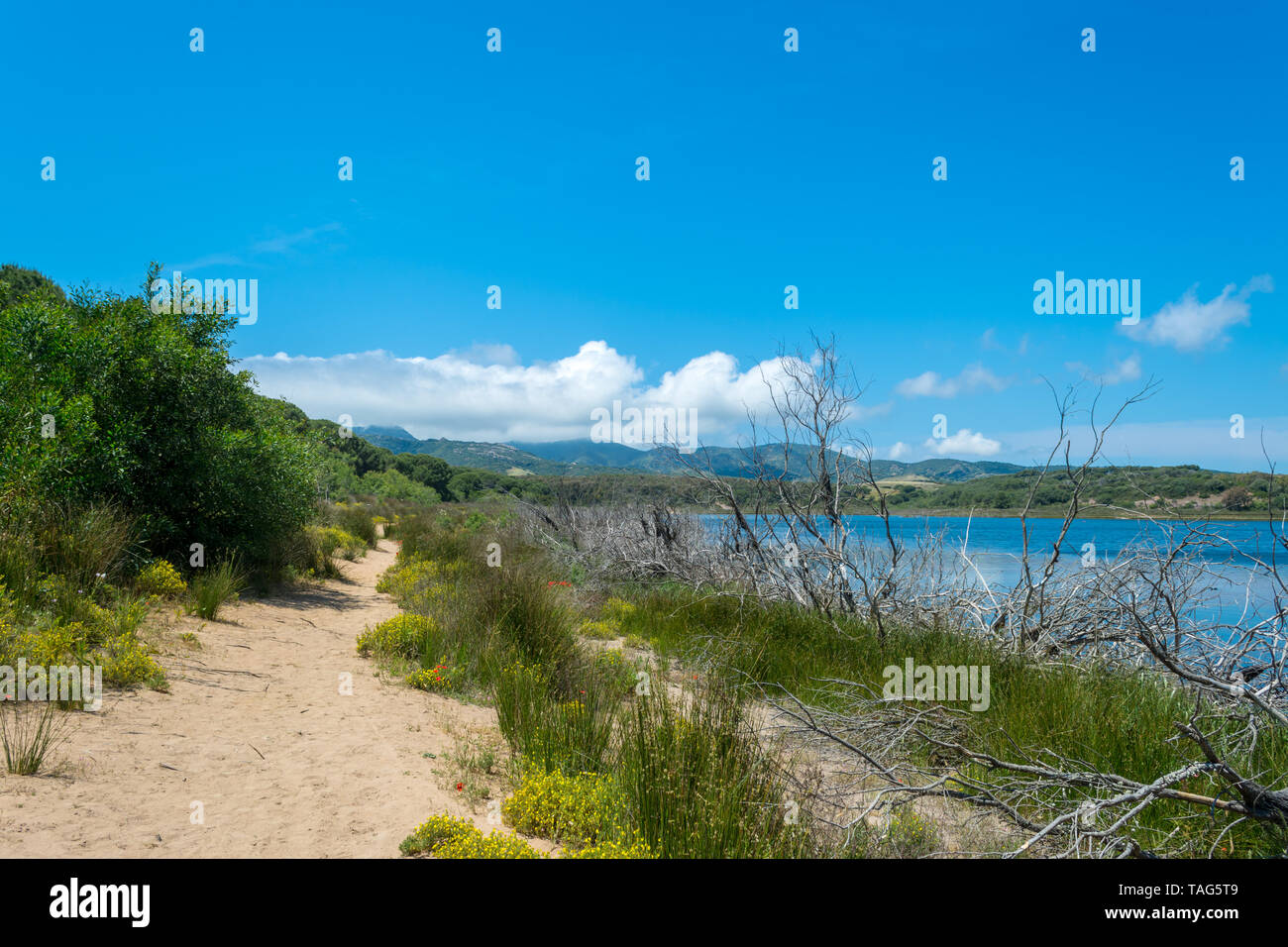 Paysage du lac Baratz en Sardaigne, près de la ville d'Alghero, dans une journée ensoleillée Banque D'Images