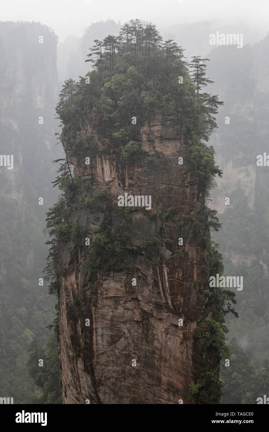 Dans les montagnes de Zhangjiajie Parc national de Wulingyuan, Hunan - Chine Banque D'Images