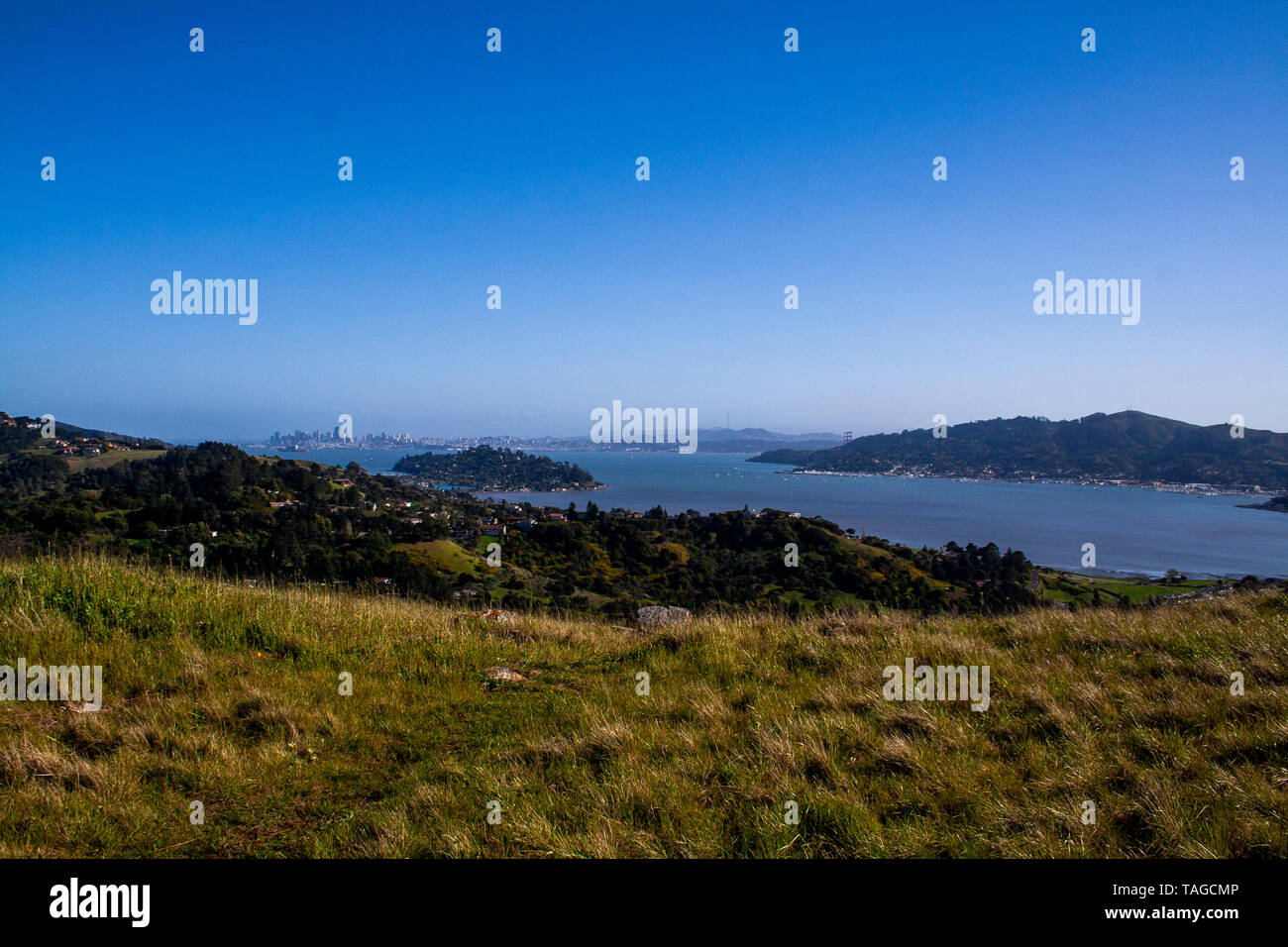 Une belle journée de marche autour du comté de Marin Banque D'Images