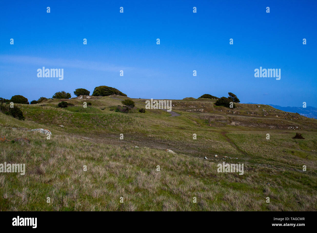 Une belle journée de marche autour du comté de Marin Banque D'Images