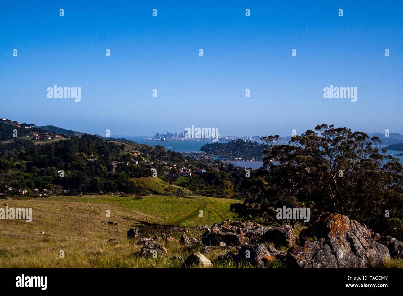 Une belle journée de marche autour du comté de Marin Banque D'Images