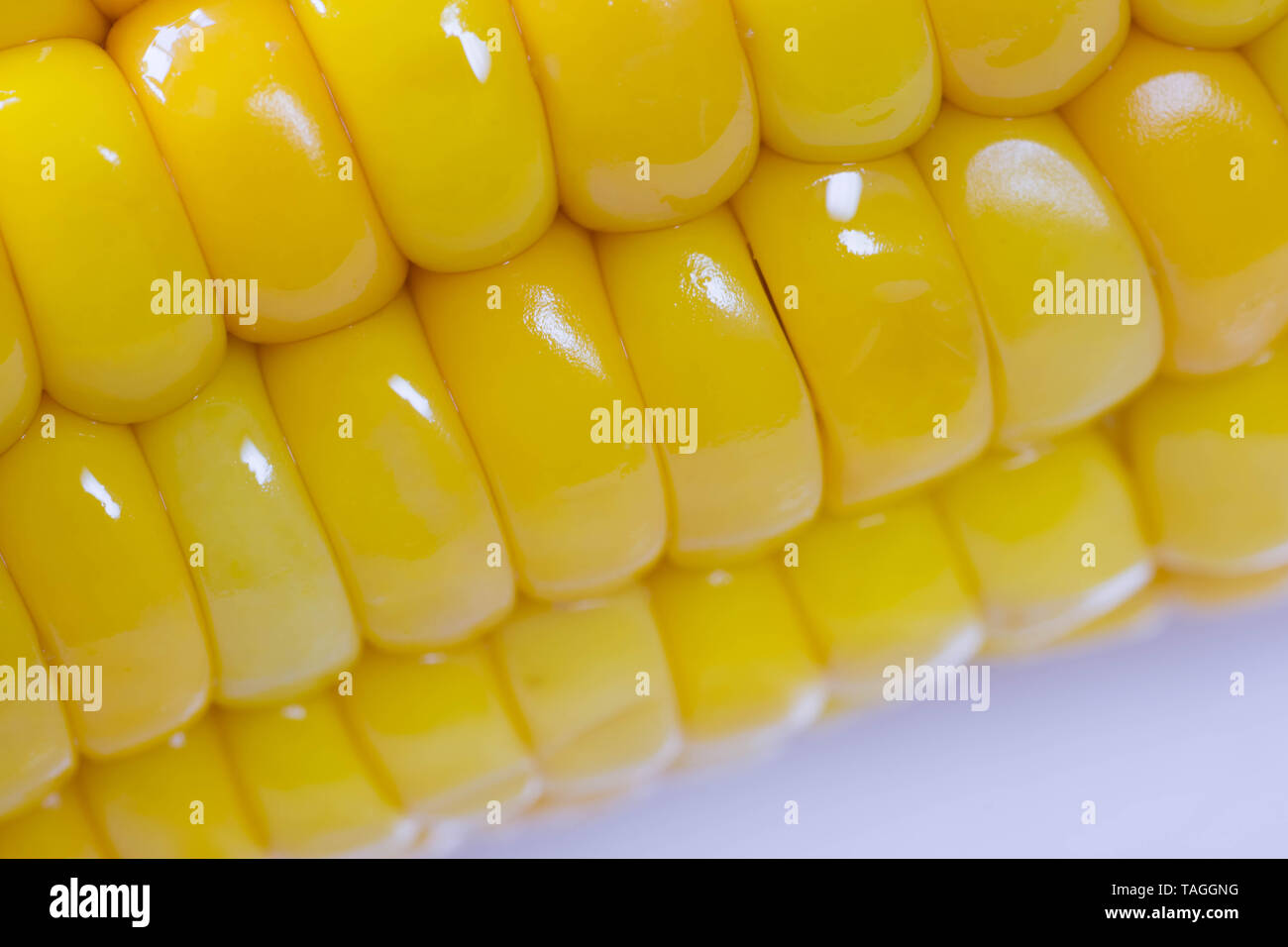 Bouillie et cuite de maïs doux jaune s/n gros plan macro. Délicieux à la recherche. Banque D'Images