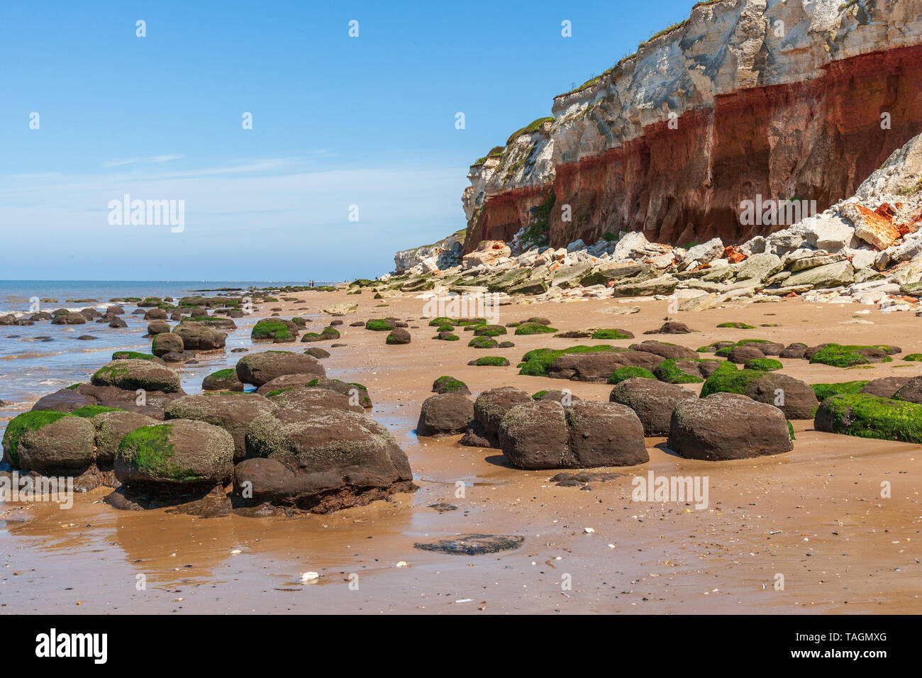 Vue sur les rochers et falaises à hunstanton North Norfolk uk au début de l'été Banque D'Images