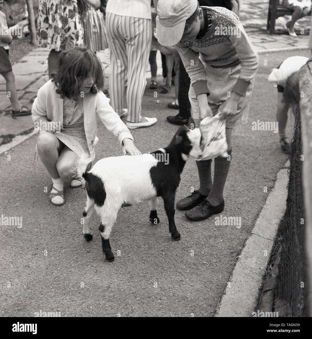 Années 1960, historiques, les jeunes enfants s'approcher de l'animal à la petite ferme urbaine à Crystal Palace Park dans le sud de Londres, Angleterre, Royaume-Uni. Une visite d'une ferme et de considérer les animaux de près, est une excellente façon d'initier les enfants à de nouvelles expériences, ce qui aide à renforcer leur confiance et d'habiletés physiques. Banque D'Images