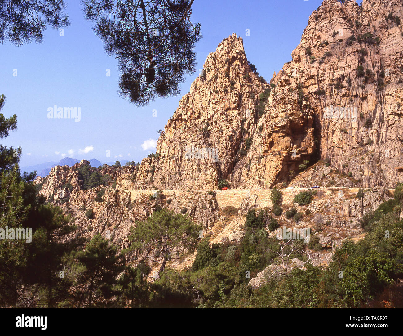 Des formations rocheuses, les Calanche Montagnes, corse (Corse), France Banque D'Images