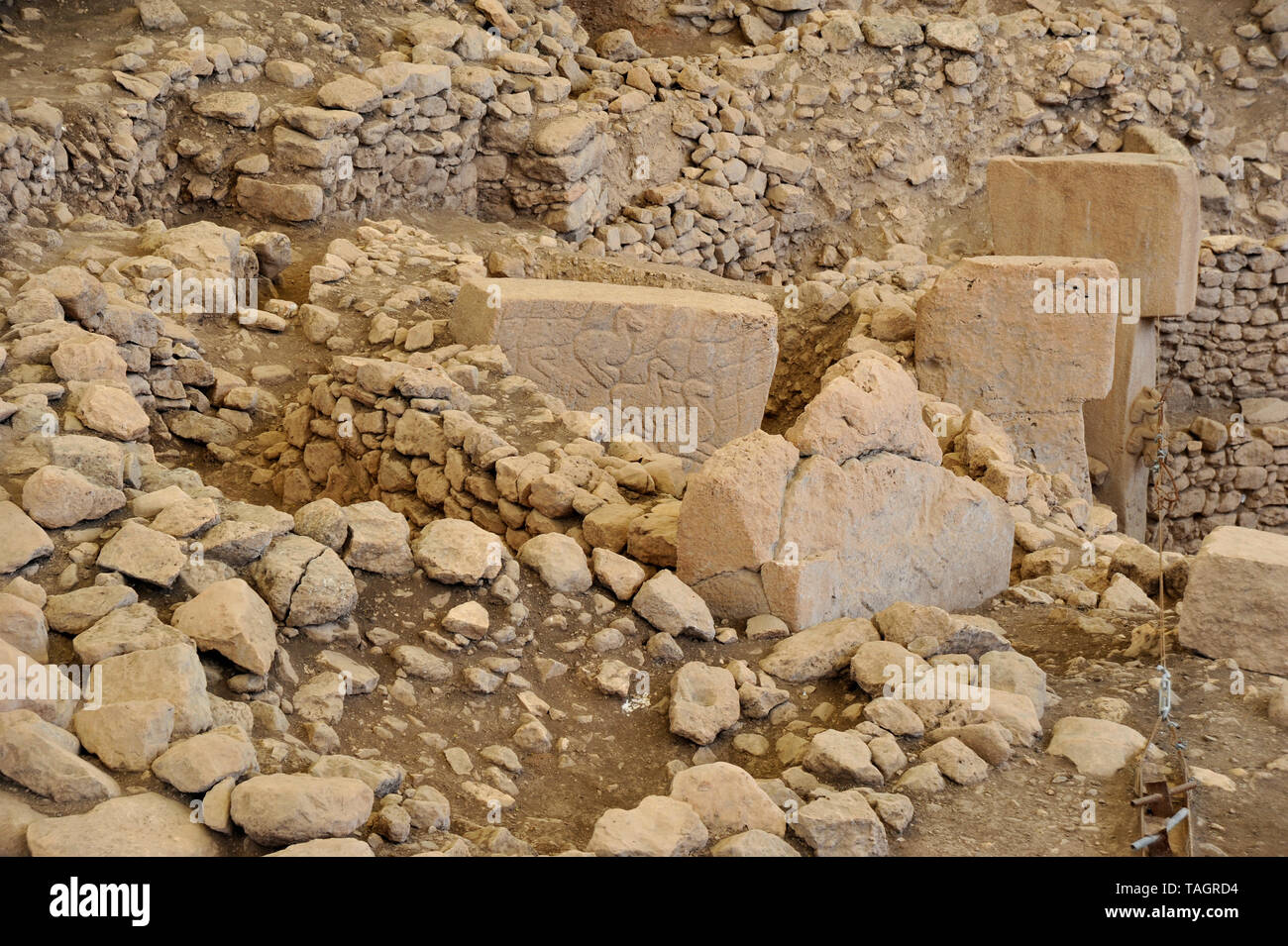 Les animaux sculptés dans la pierre sont visibles au site archéologique antique à Gobekli Tepe, Sanliurfa, Turquie Banque D'Images