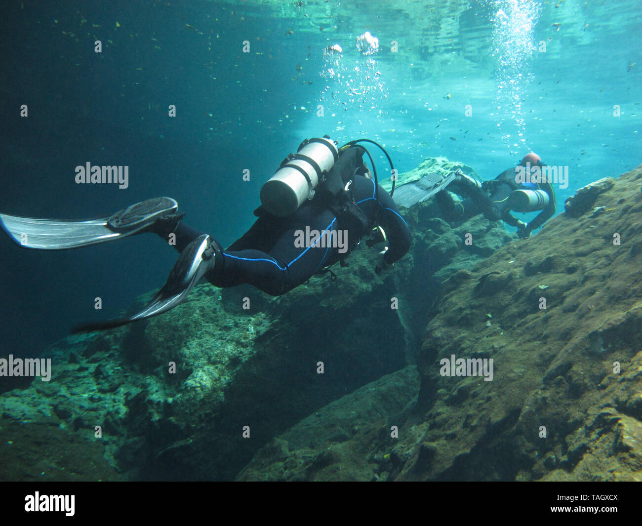 Sous-marine Plongée sous-marine à cenote Chac Mool dans la Riviera Maya, au Mexique. Banque D'Images