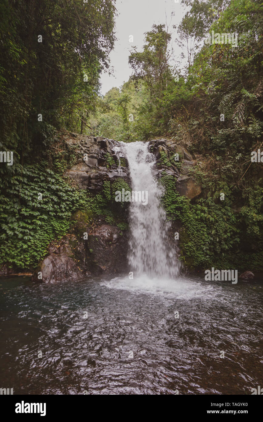 Cascade de GitGit, Bali. La cascade est une destination touristique populaire dans la région de Bali, connu pour son feuillage attrayant et piscine naturelle Banque D'Images