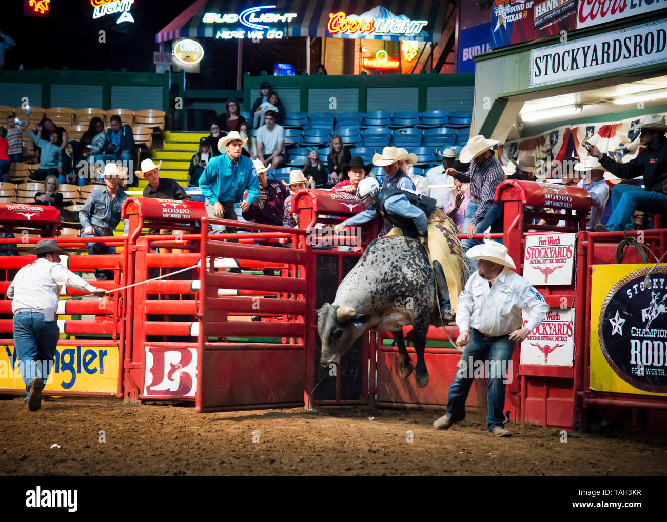 bull riding rodeo texas banque d image et photos alamy