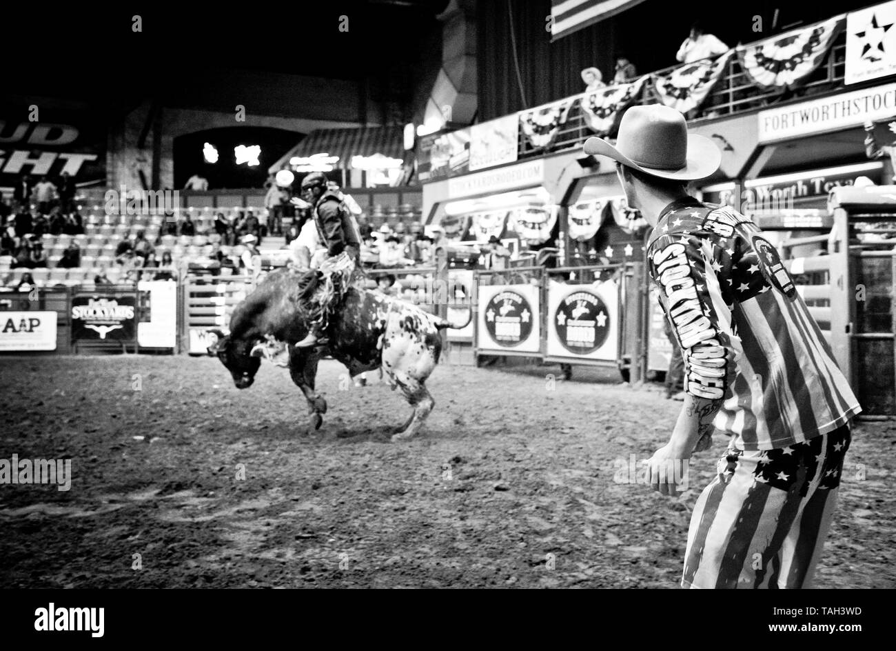 Rodeo clown, prêt à distraire le taureau, événement sportif extrême, cow-boy en action comme il s'efforce de monter le gros taureau, fort Worth, les parcs à bestiaux, Texas, USA, Banque D'Images