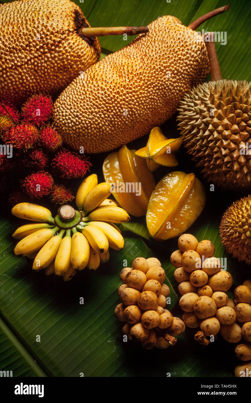 Fruits de la Malaisie, des caramboles, babana, rambutan, langsat, chempedak ou cempedak, Banque D'Images