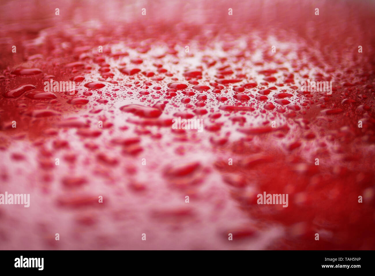Close up goutte d'eau sur une voiture rouge pour le fond serface Banque D'Images