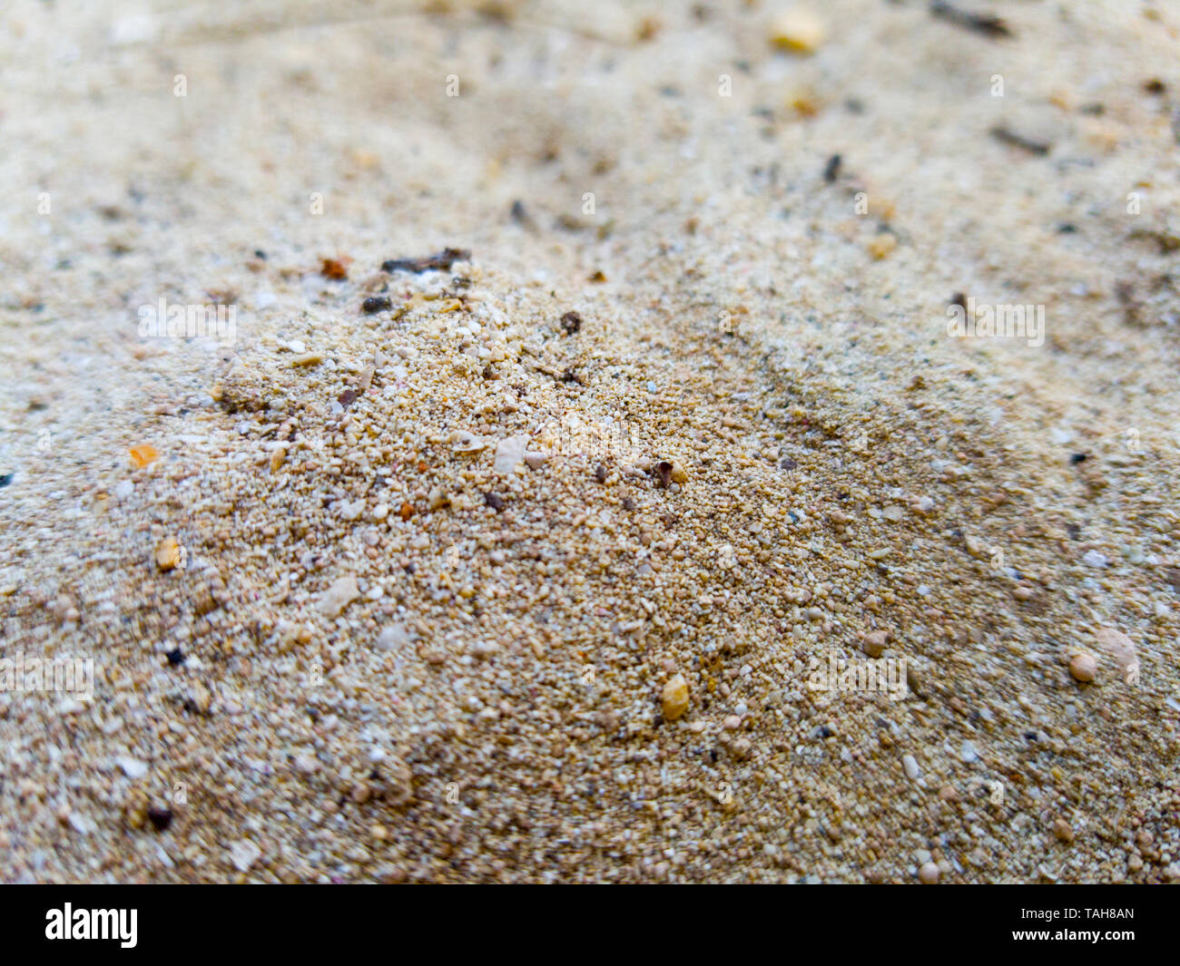 Plage de sable dans son état naturel Banque D'Images