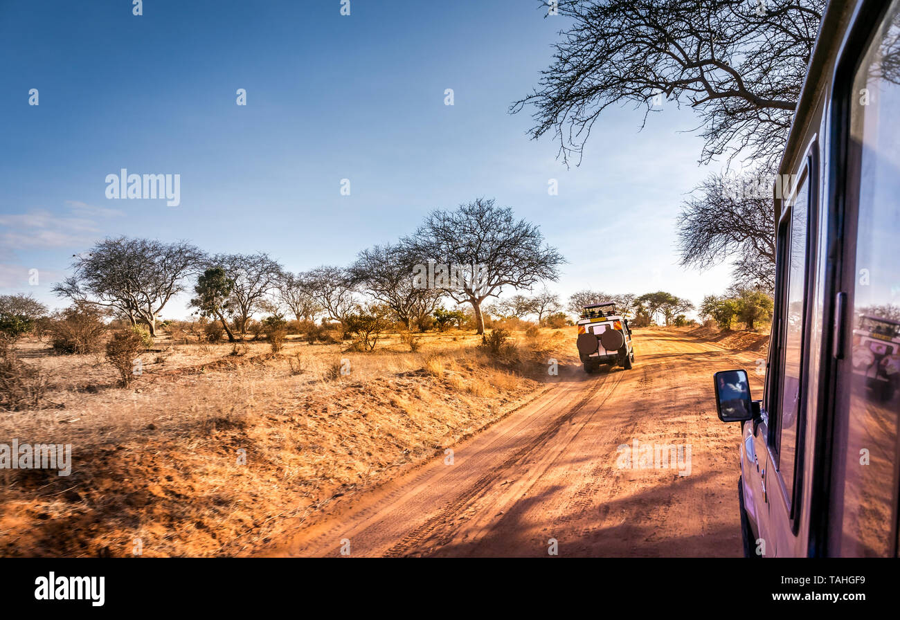 Les plaines de savane incroyable paysage et route safari au Kenya Banque D'Images