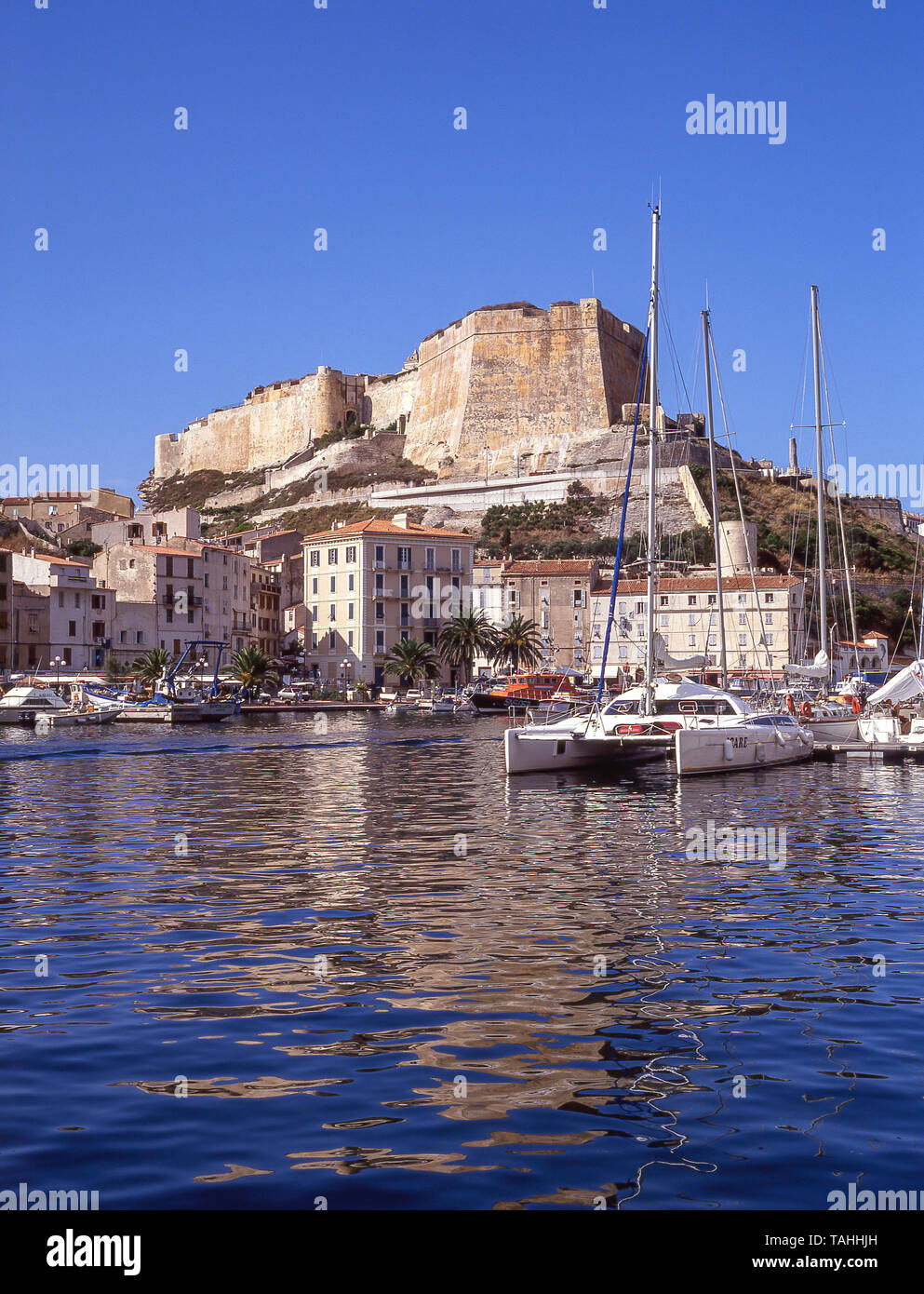 Vue de la Citadelle et du port, Bonifacio, corse (Corse), France Banque D'Images