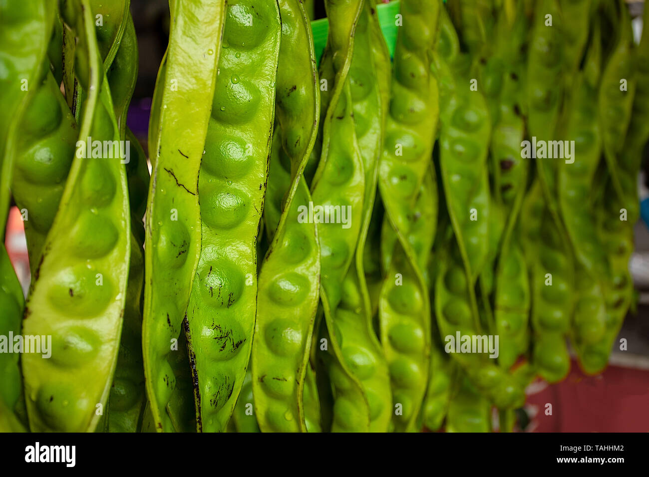 Parkia speciosa, amère, Haricots, Haricots ou cluster torsadée stink bean. Ingrédients Culinaires asiatiques populaires Banque D'Images