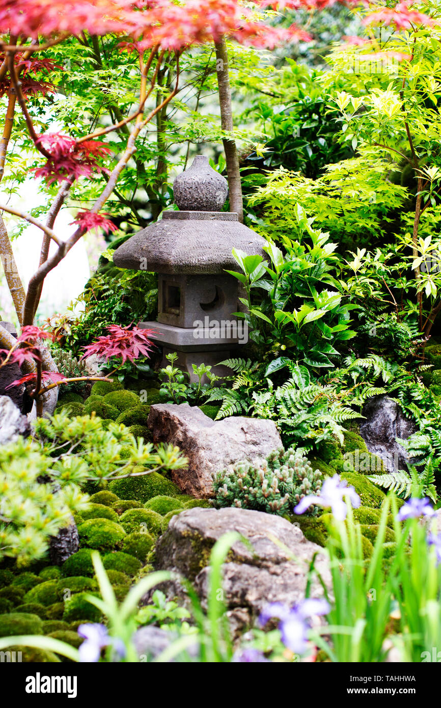 Jardin japonais à la RHS Chelsea Flower Show 2019 Banque D'Images