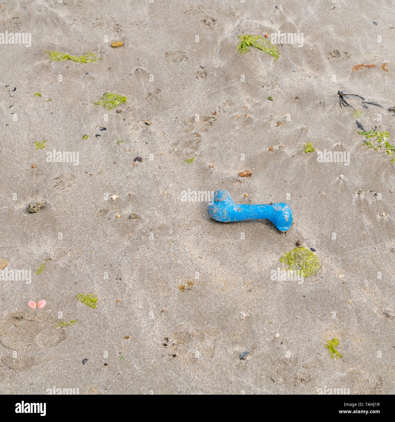 Blue dog's fetch os jouet sur plage de sable. Idiome métaphore à l'os de "choisir", "pomme de discorde". Jouet de marque sans doute afin qu'éditorial. Banque D'Images