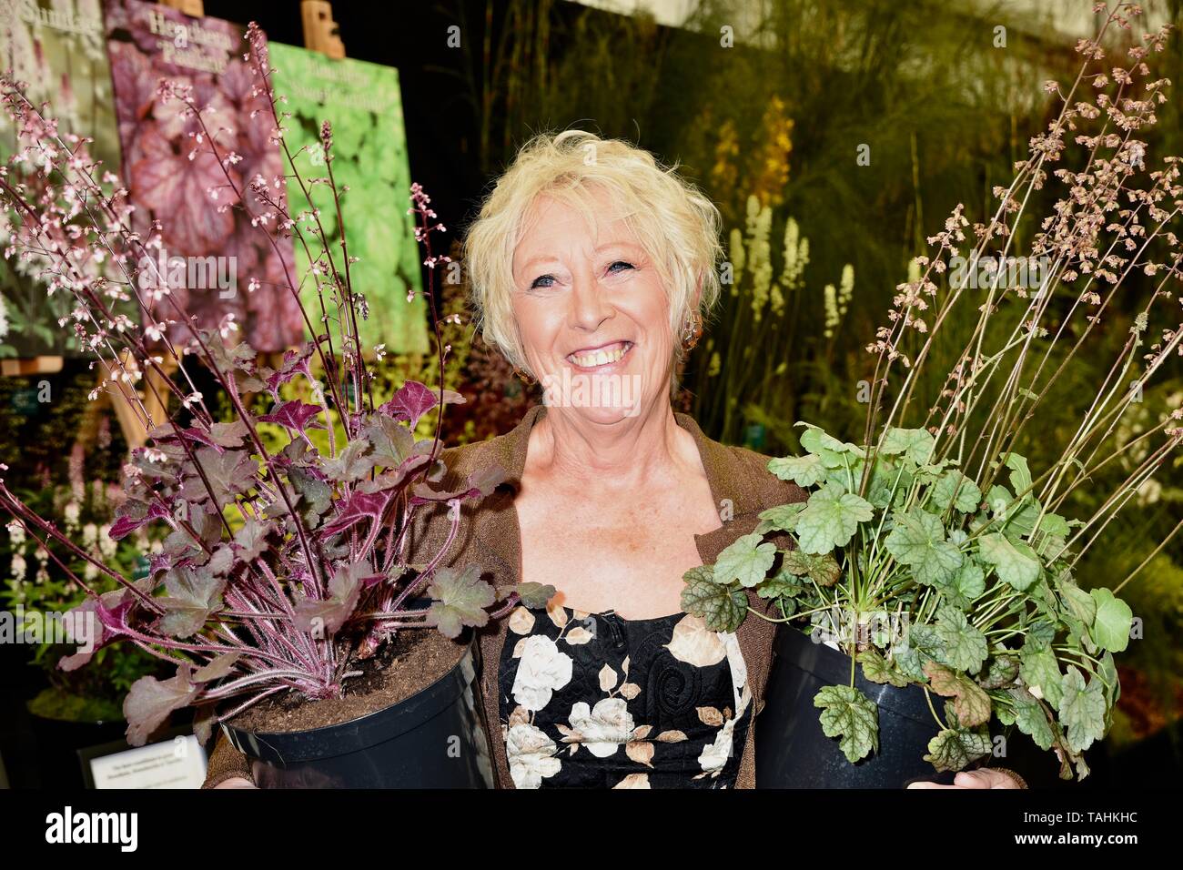 Carol Klein. RHS Chelsea Flower Show, appuyez sur Jour, Londres Banque D'Images