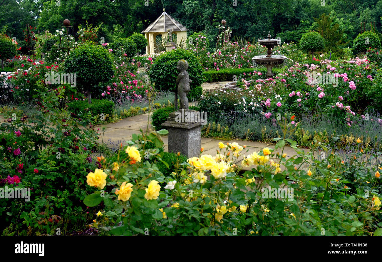 Le jardin de roses, le Château de Belvoir Banque D'Images
