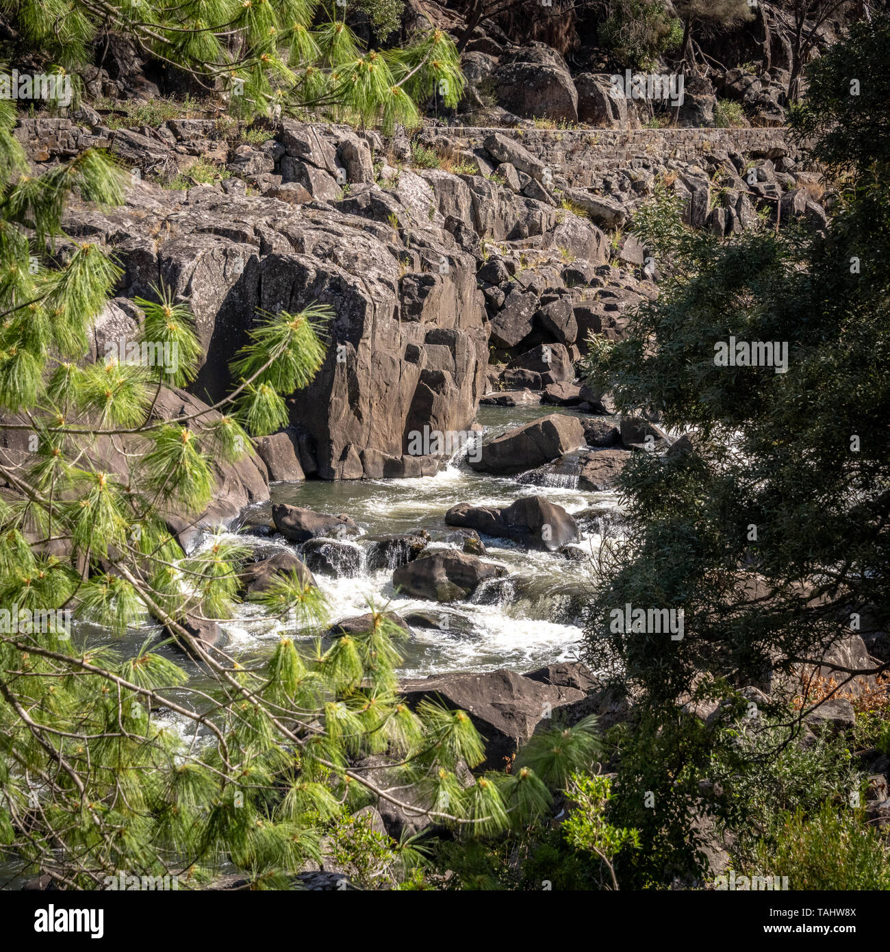 Cataract Gorge, Launceston, Tasmania Banque D'Images
