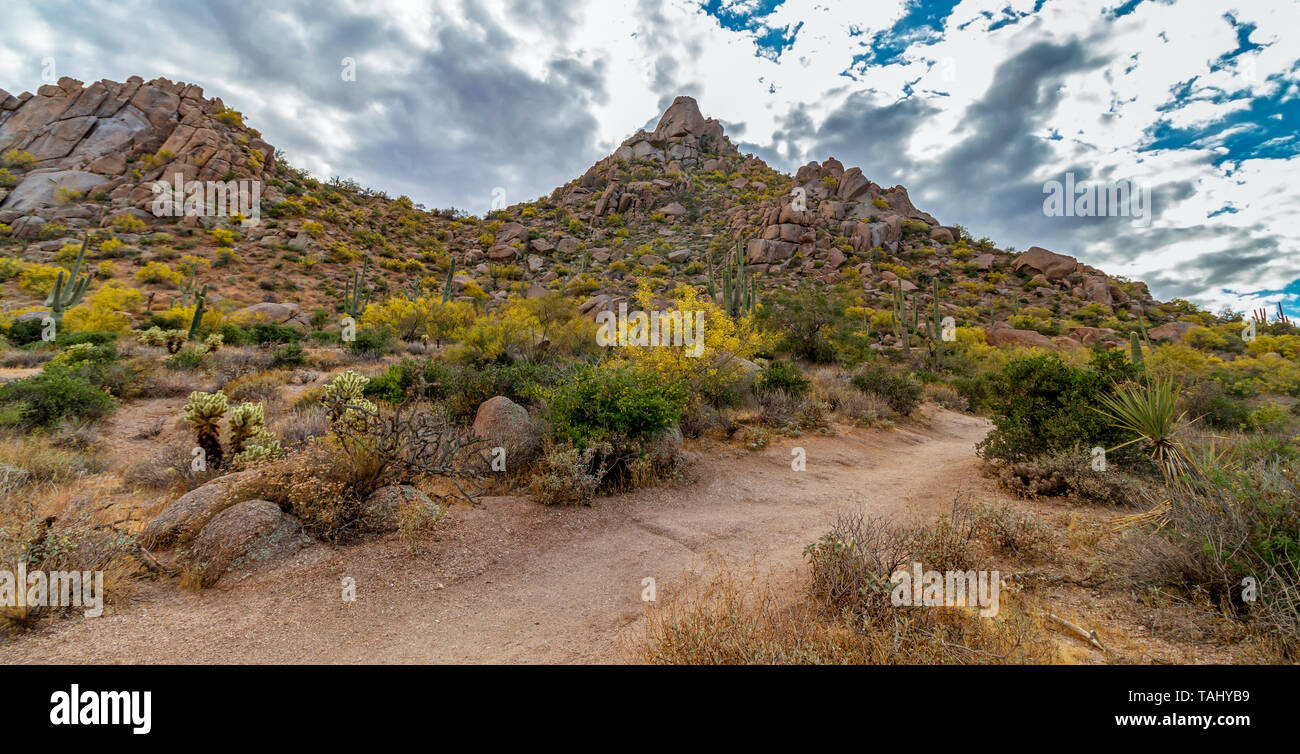 Vue grand angle du désert Pinnacle Peak Trail à Scottsdale Arizona au cours du printemps. Banque D'Images