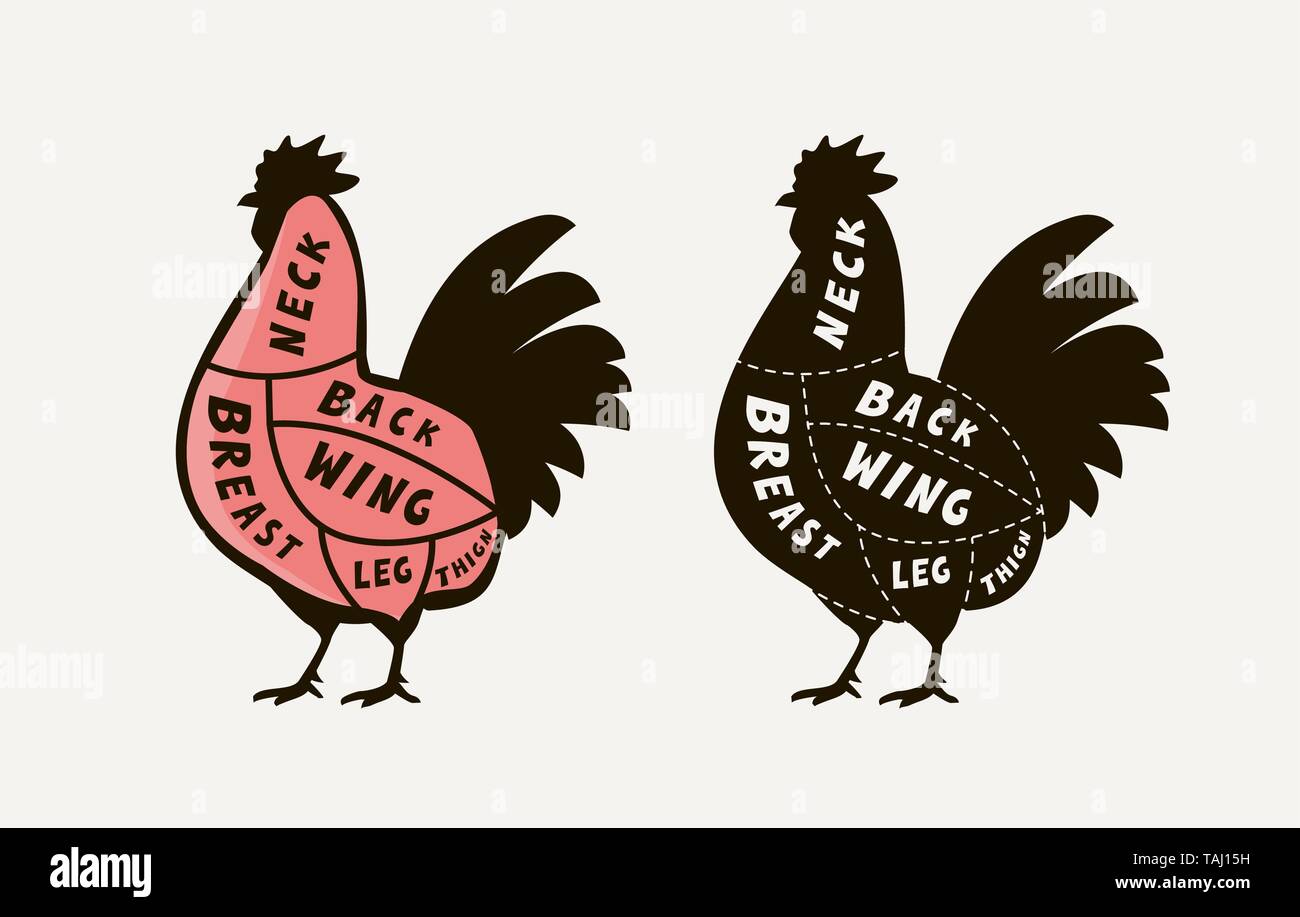 Guide de diagramme pour couper la viande coq, boucherie. Vecteur de poulet Illustration de Vecteur