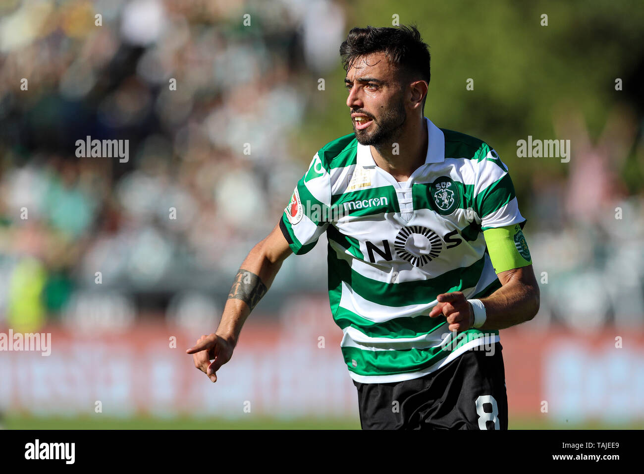 Bruno Fernandes de Sporting CP célèbre avec ses coéquipiers lors de la Coupe du Portugal Placard 2018/2019 - finale, match de foot entre Sporting CP vs FC Porto. (Score final : Sporting CP 2(5) - 2(4) le FC Porto Banque D'Images